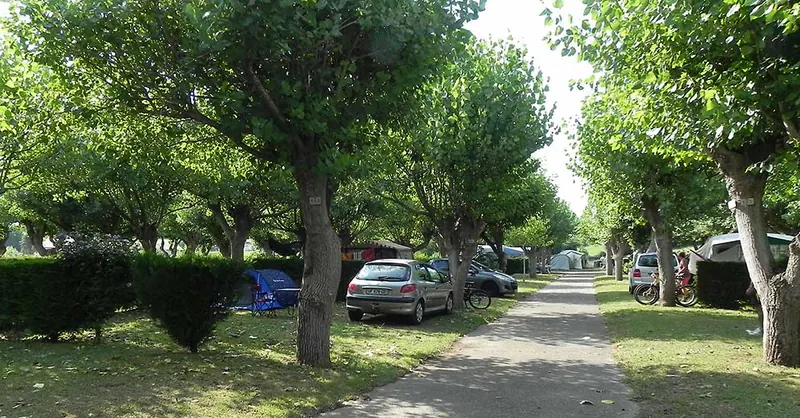 Allée bordée d'emplacements ombragés