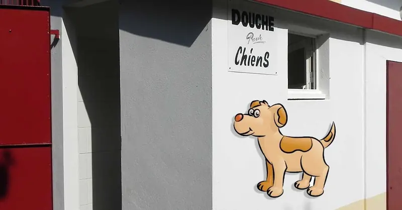 La douche pour chiens du camping