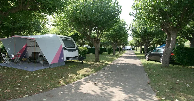 Emplacement ombragé pour caravane au Camping Alegera