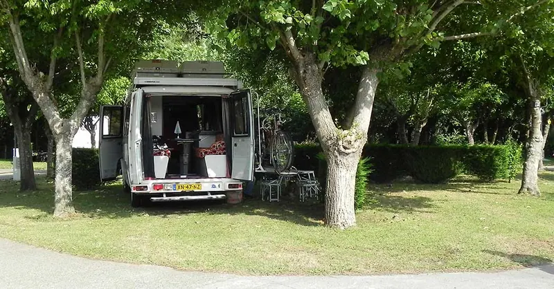 Fourgon aménagé sur un emplacement sous les platanes