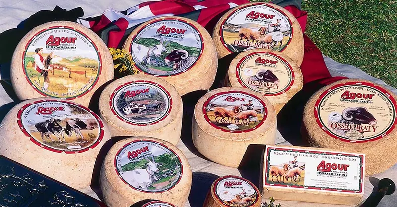 Fromages de brebis du Pays Basque sur un étal